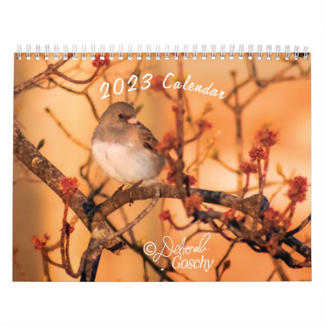 Calendrier 2023 (Protection)