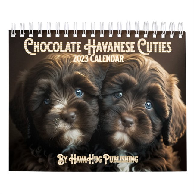 Calendrier 2023 Chocolat Havanais Chiot par HavaHu (Protection)