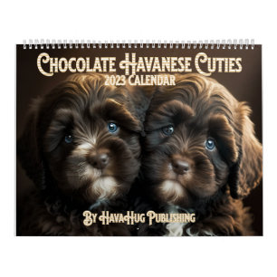 Calendrier 2023 Chocolat Havanais Chiot Par HavaHu