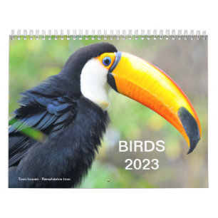 Calendrier 2023 de divers oiseaux