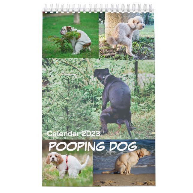 Calendrier 2023 de Pooping Dog (Protection)