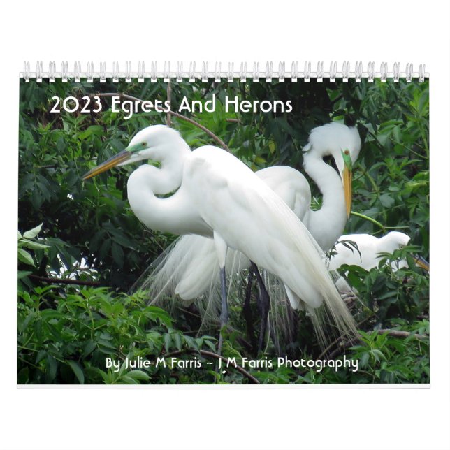 Calendrier 2023 Des Aigrettes Et Des Hérons 2 (Protection)