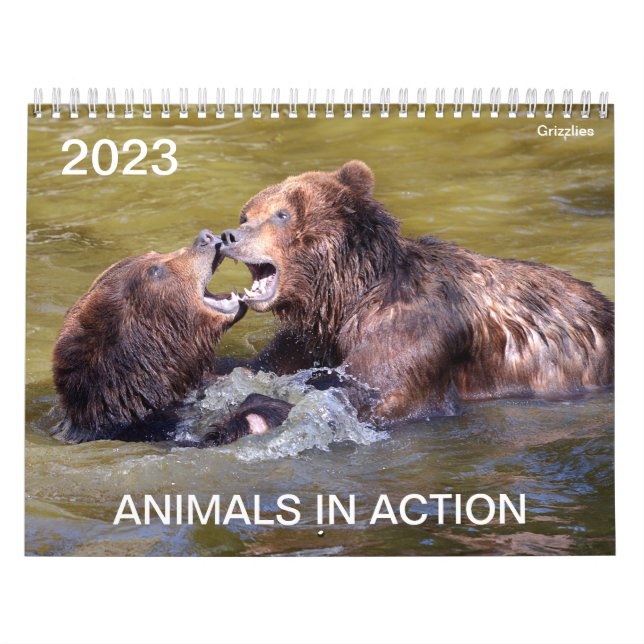 Calendrier 2023 des animaux en action (Protection)