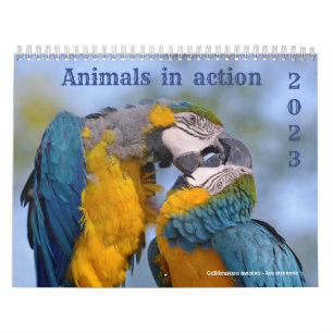 Calendrier 2023 des animaux en action