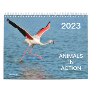 Calendrier 2023 des animaux en action