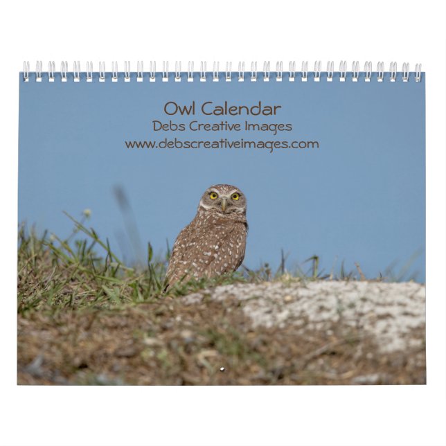 Calendrier 2023 des hiboux (Protection)