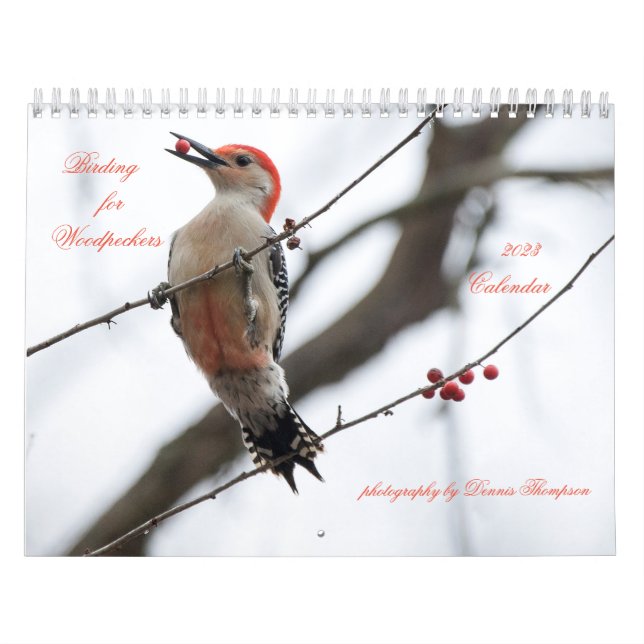 Calendrier 2023 des oiseaux de pic (Protection)