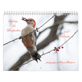 Calendrier 2023 des oiseaux de pic