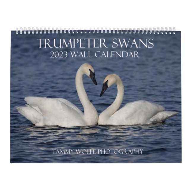 Calendrier 2023 du mur de cygne trompette (Protection)