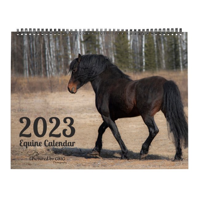 Calendrier 2023 Equine Photo Calendar (Protection)