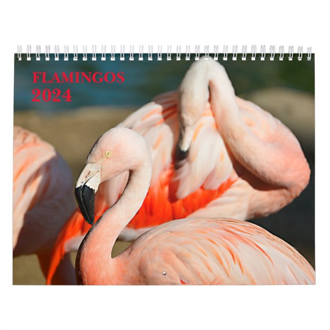 Calendrier 2023 flamants (Protection)