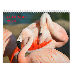 Calendrier 2023 flamants
