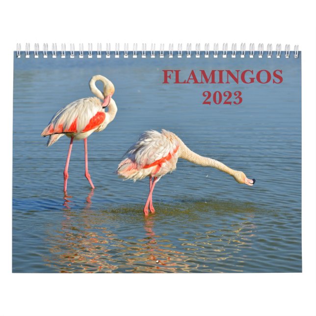 Calendrier 2023 Flamants roses (Protection)