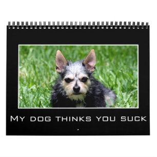 Calendrier 2023 Humour décourageant et démotivationnel