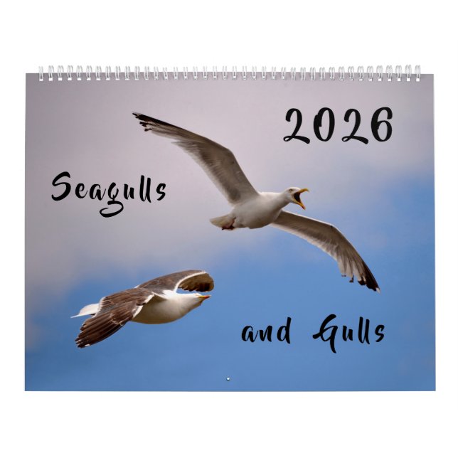 Calendrier 2023 Mouettes et mouettes (Protection)