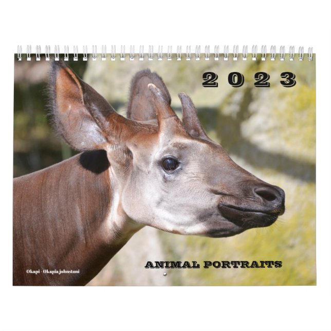 Calendrier 2023 portraits d'animaux (Protection)