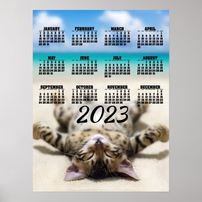 Calendrier 2023 Poster de Chat qui se fait bronzer (Devant)