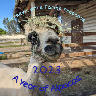 Calendrier 2023 - Une année d'Alpacas