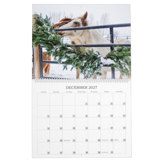 Calendrier 2023 - Une année de Mustang au Michigan (Dec 2027)