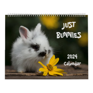 Calendrier 2024 Bunnies Grand Mur