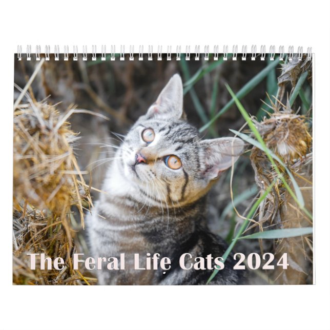 Calendrier 2024 Feral Life 2024 Beautiful Natural Cats (Protection)