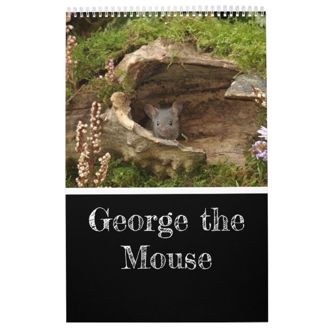 Calendrier 2024 George la souris dans une pile de logis calen (Protection)