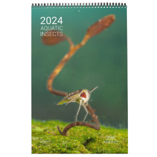 Calendrier 2024 - Insectes aquatiques