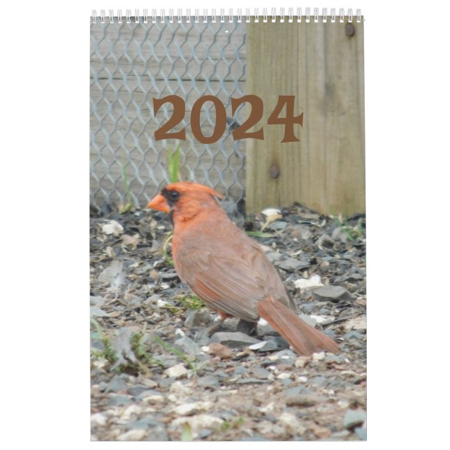 Calendrier 2024 Jardin Birds (Protection)