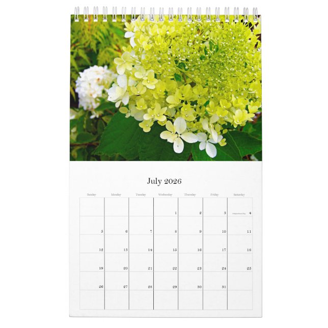 Calendrier 2024 My Rubio Garden Elegant Hydrangeas (Jul 2026)