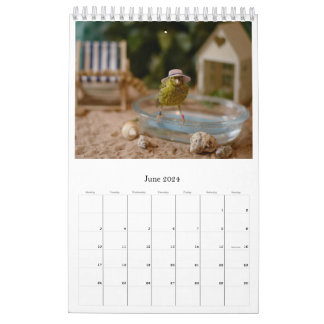 Calendrier 2024 Wall Calendar Mignons Oiseaux Animaux Animaux