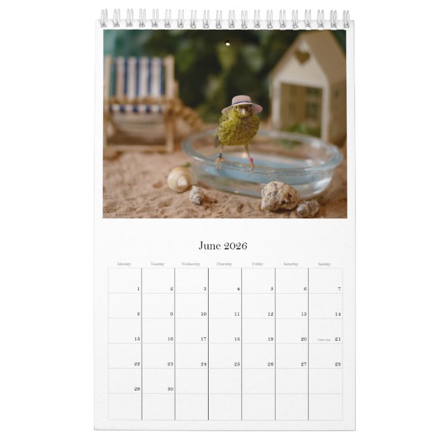 Calendrier 2024 Wall Calendar Mignons Oiseaux Animaux Animaux (Jun 2026)
