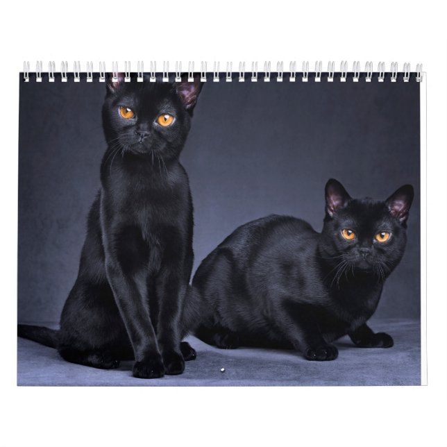 CALENDRIER 2025 (Protection)