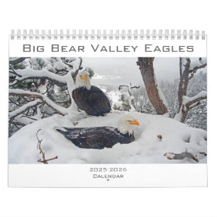 Calendrier 2025-2026 des Aigles Gros Ours