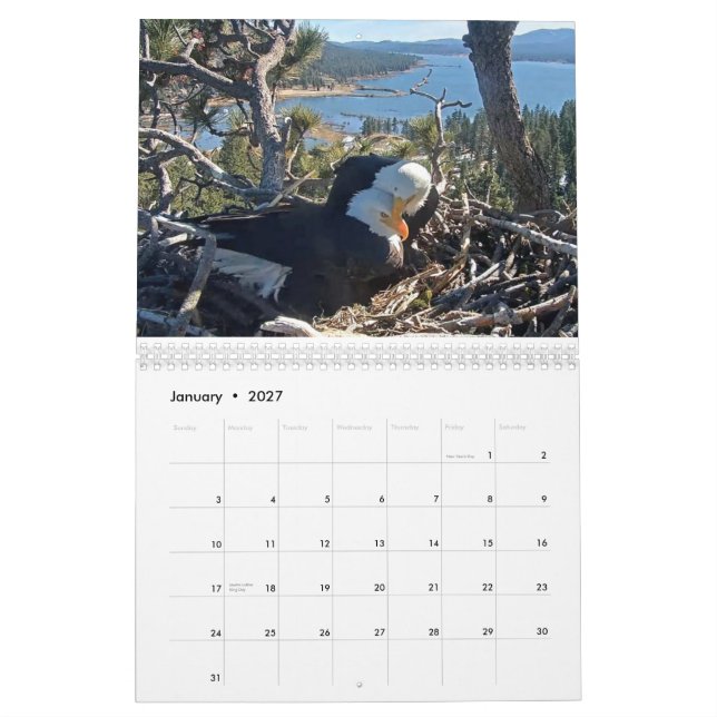 Calendrier 2025-2026 des Aigles Gros Ours (Jan 2027)