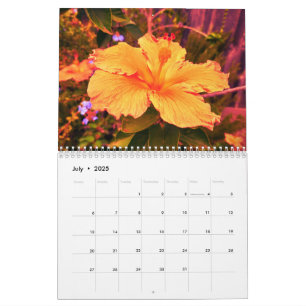 Calendrier 2025 avec photographie par Lindsay Stro