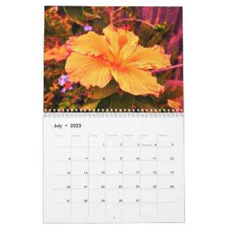 Calendrier 2025 avec photographie par Lindsay Stro