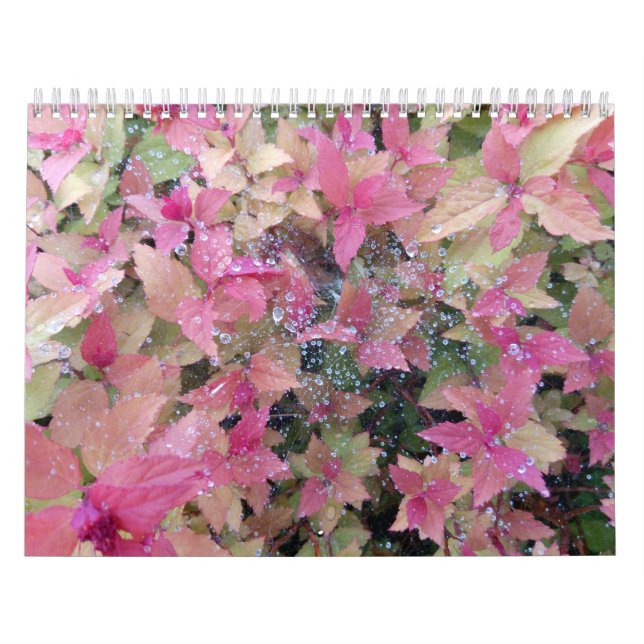 Calendrier 2025 avec photos nature (Protection)