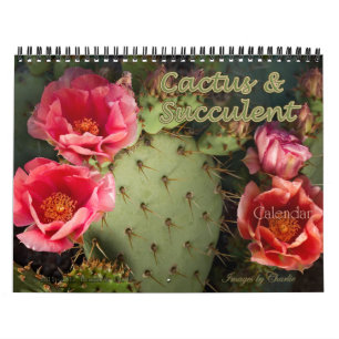 Calendrier 2025 Cactus & Fleur Succulente (Version originale)