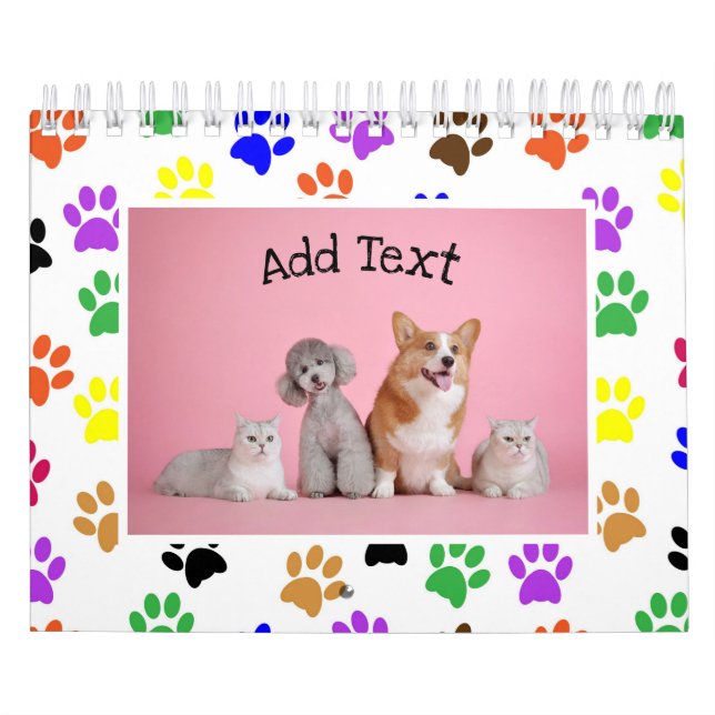 Calendrier 2025 de 13 photos de animaux de compagn (Protection)