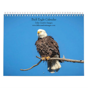 Calendrier 2025 de Bald Eagle