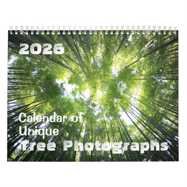 Calendrier 2025 de la Personnaliser des photograph (Protection)