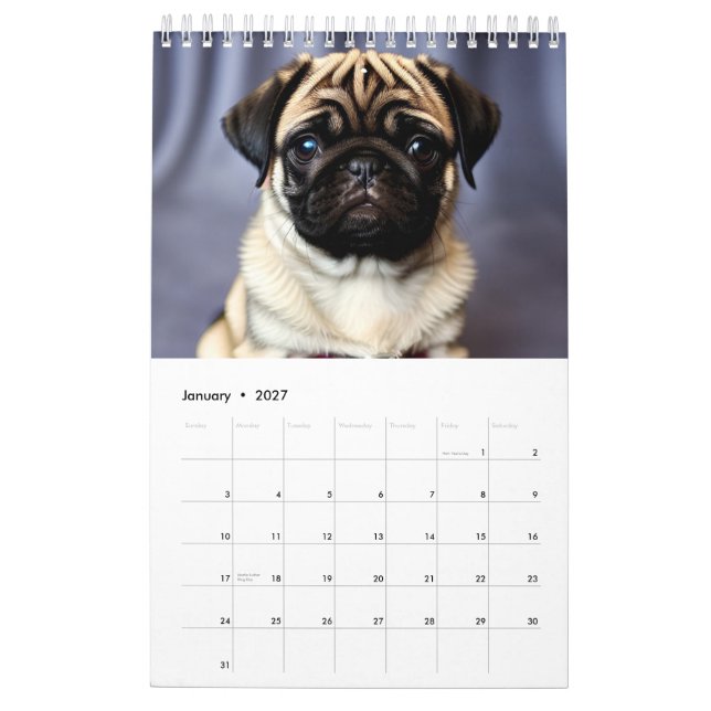 Calendrier 2025 des chiots (Jan 2027)