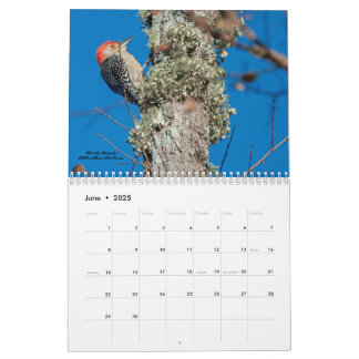 Calendrier 2025 des oiseaux de pic