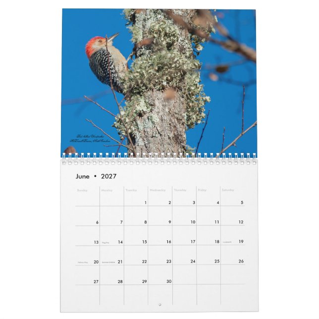 Calendrier 2025 des oiseaux de pic (Jun 2027)