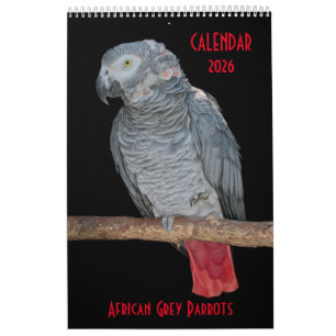 Calendrier 2025 des perroquets gris d'Afrique