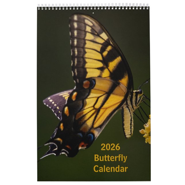 Calendrier 2025 du papillon d'une page (Protection)