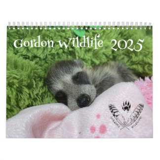 Calendrier 2025 Gordon Wildlife Raccoon
