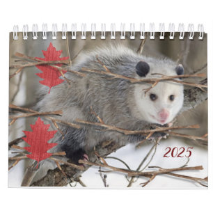 Calendrier 2025 Opossum Nature Faune
