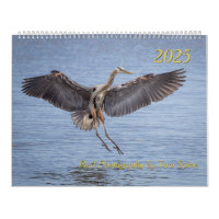 Calendrier 2025 - Photographies d'oiseaux par Tom