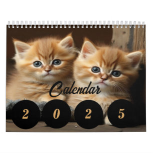 Calendrier 2025 Pour Amoureux de les chats - Année